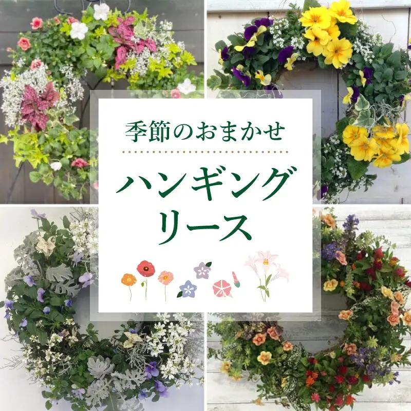 花 ハンギングリース  リース 寄植え 花
