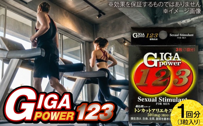 
                  サプリ ギガパワー 123 3粒 / サプリメント サプリ 活力 コンディション 栄養補給 国産 マカ 亜鉛 男性 粒 個包装 プレミアム さぷり セルフケア 簡単 亜鉛 サプリ ミネラル 国産 お試し トライアル 男性 健康維持 毎日 栄養補給 藤井寺市 1回分 トンカットアリエキス おすすめ 人気 / 大阪府藤井寺市/(株)アスナロ化工研究所 [BLAX009]
                