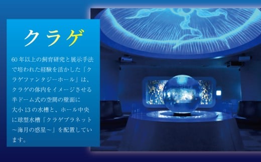 新江ノ島水族館 チケット 前売 入場券 大人1枚 有効期間 チケット 水族館 イルカショー 利用券 引換券 券 体験チケット 体験型 アクティビティ 入場券 前売り券 動物 家族 旅行 観光 トラベル