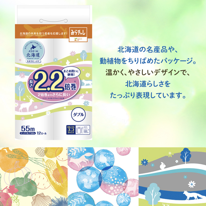 定期便 2ヵ月連続お届け エリエール [アソートI] なまらたっぷり 大容量 トイレットペーパー ティッシュ トイレ ボックスティッシュ 防災 常備品 備蓄品 消耗品 日用品 生活必需品 送料無料 赤