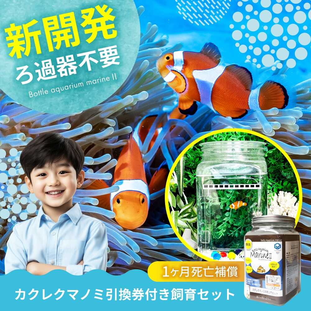 カクレクマノミ付き飼育セット（死亡保障1ヶ月）「ボトルアクアリウムマリン2」 飼育 自由研究 体験 セット キットセット カクレクマノミ 生き物 動物 魚 広島県 福山市