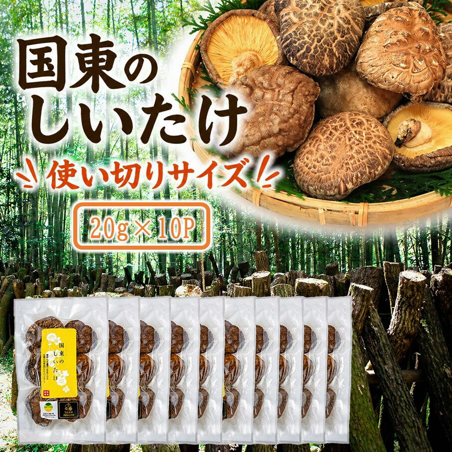 【ふるさと納税】国東のしいたけ 小分け 20g×10P 使い切り 便利 大分 椎茸 乾燥しいたけ 小袋 個包装
