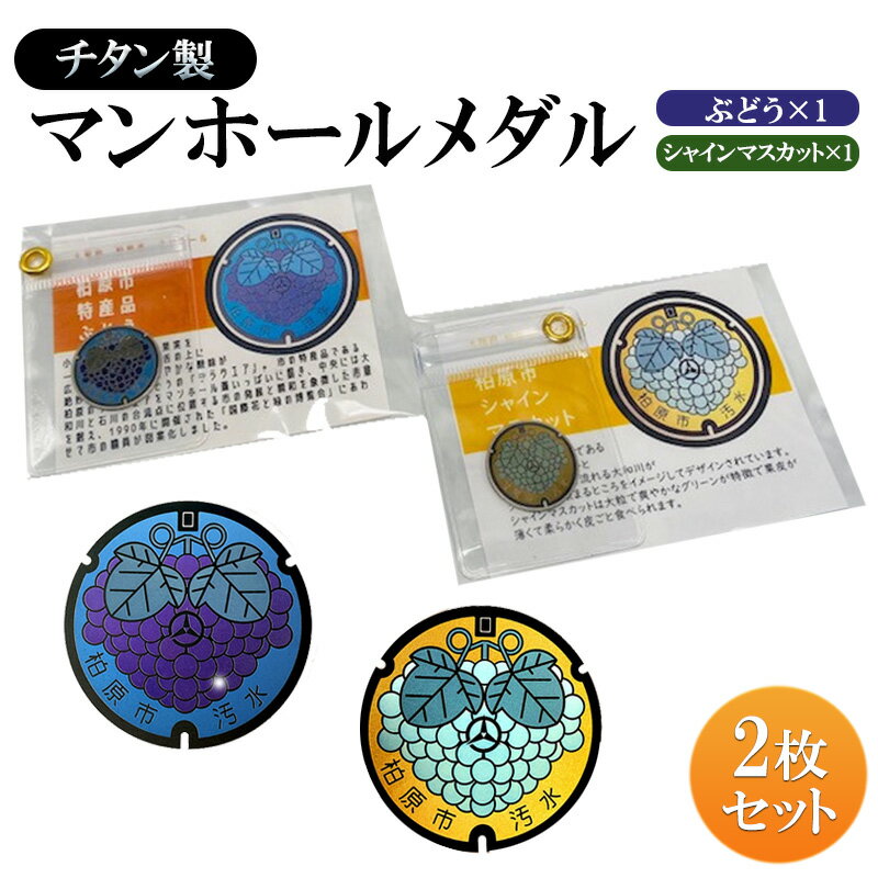 【ふるさと納税】チタン製マンホールメダル【ぶどう・シャインマスカット】