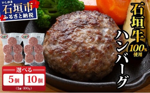 
                  石垣牛ハンバーグ 500g (100g×5個×1パック) / 1kg (100g×5個×2パック) | ハンバーグ 石垣牛 牛肉 石垣市 石垣島 沖縄 コッパリ
                