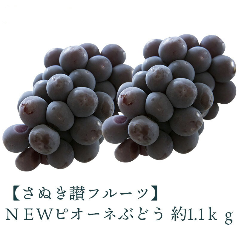 【ふるさと納税】 NEWピオーネ 約1.1kg さぬき讃フルーツ認定 先行予約 [ 大粒 種なし 皮ごと食べられる 高級ぶどう 葡萄 果物 フルーツ 人気 ギフト 贈答用 家庭用 お取り寄せ グルメ 産地直送 新鮮 甘い ジューシー 香川県 三豊市 返礼品 造田商店 ]