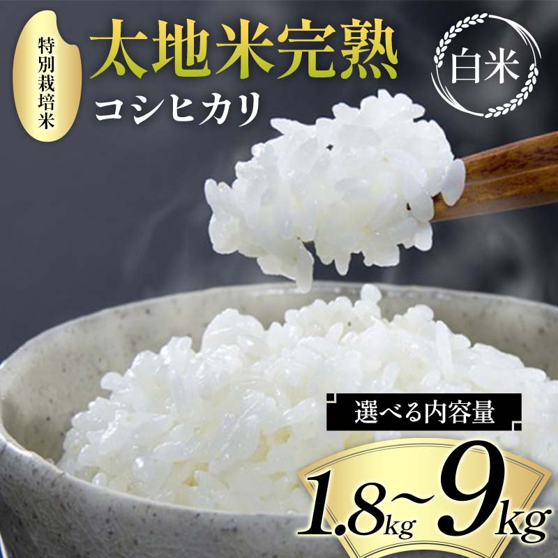 【ふるさと納税】＼選べる内容量／ 2026年産 特別栽培米 太地米完熟【こしひかり】 白米 1.8kg 2.7kg 4.5kg 9kg ブランド米 お米 精米 白米 人気 F7X-0660var