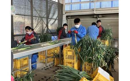 甘酒 糀の甘酒　自然栽培亀ノ尾