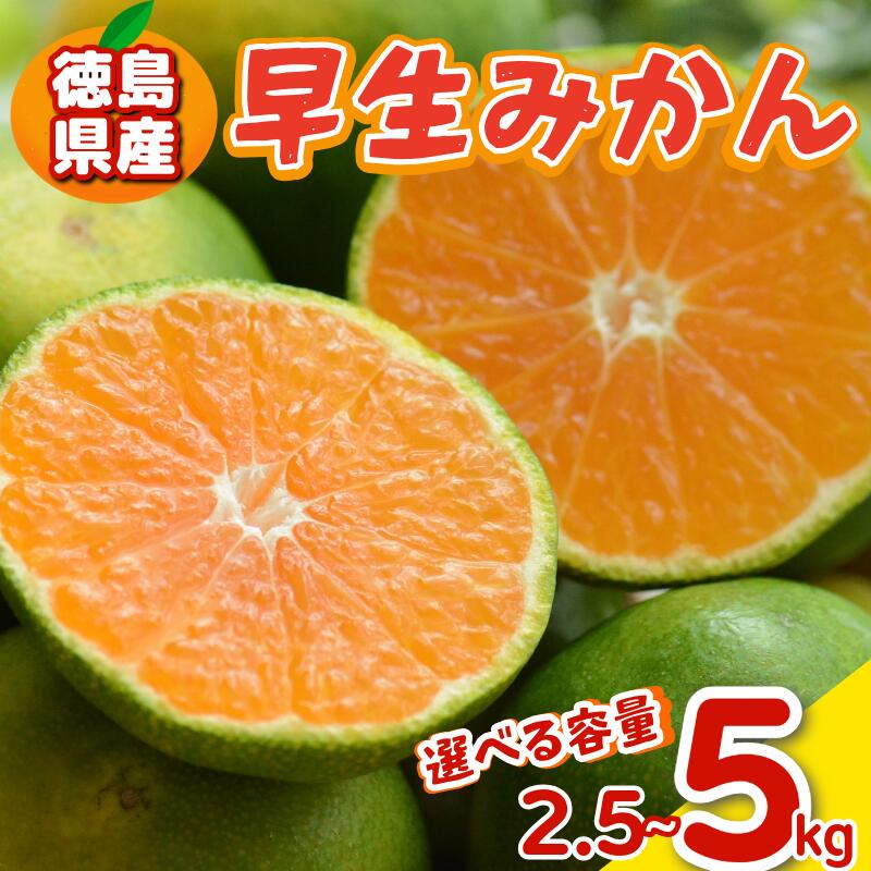 【ふるさと納税】 みかん 早生みかん 2.5kg ～ 5kg 選べる 容量 傷み補償付き200g 早生 柑橘 フルーツ 果物 みかん ミカン みかん 蜜柑 早採り オレンジ 1万円未満 徳島県 勝浦町 徳島市 八多町