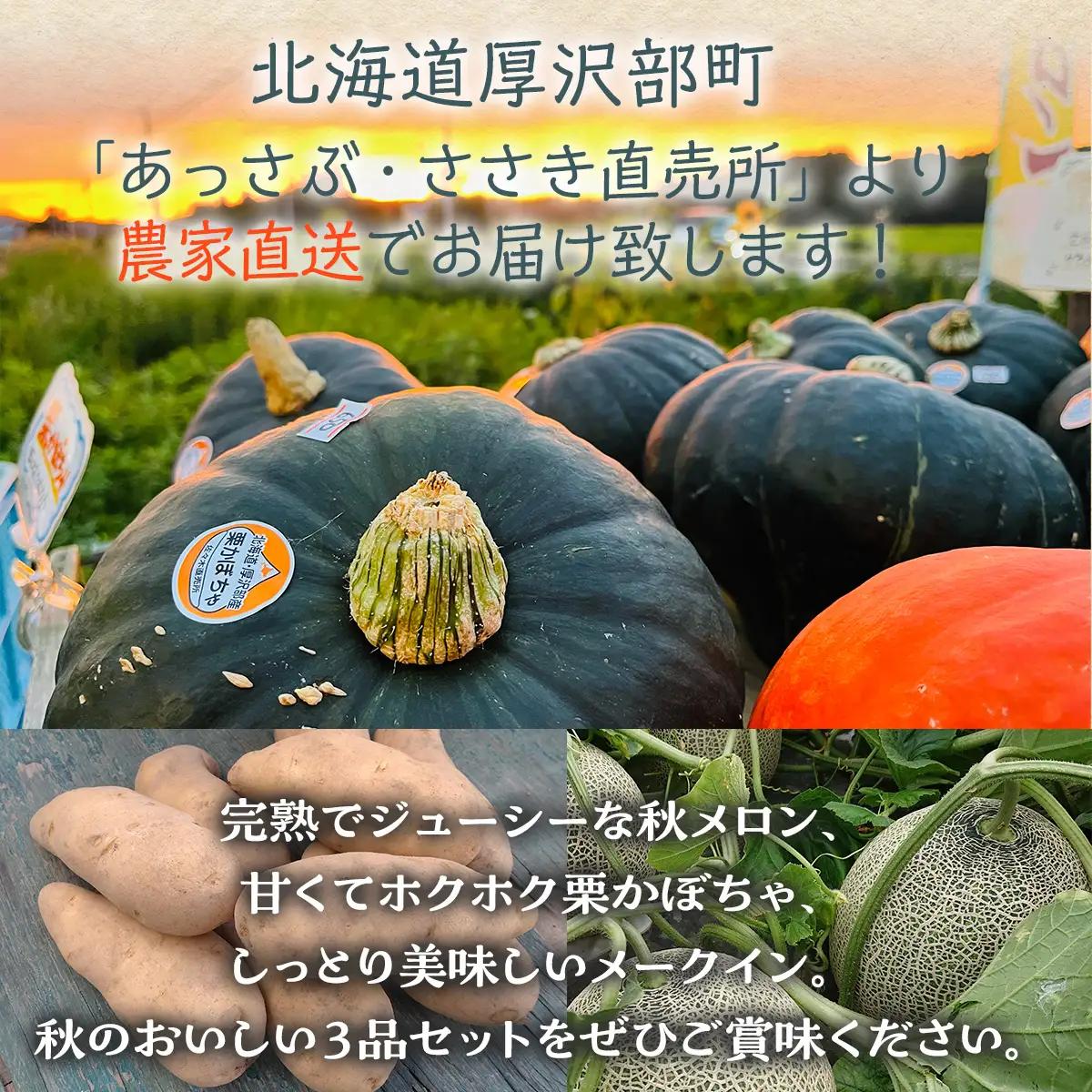 【2026年9月中旬より発送】北海道厚沢部町産メロン・栗かぼちゃ・メークイン詰合わせ 約5.7kg ASO008