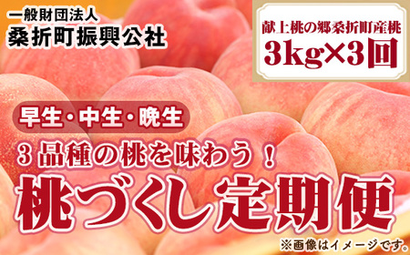 【2026年産先行受付・献上桃の郷桑折町産もも】定期便3kg×3回 品種おまかせ ／ 桃 定期便 先行受付 特秀品 糖度選果 光センサー 旬 食べ比べ 産地直送 国産フルーツ もも 果肉 果汁 食感 甘さ ご褒美 ジューシー フレッシュ デザート みずみずしい 福島県 No.255