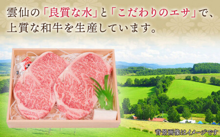 長崎和牛 サーロイン ステーキ 約400g【焼肉おがわ】[QBI003]