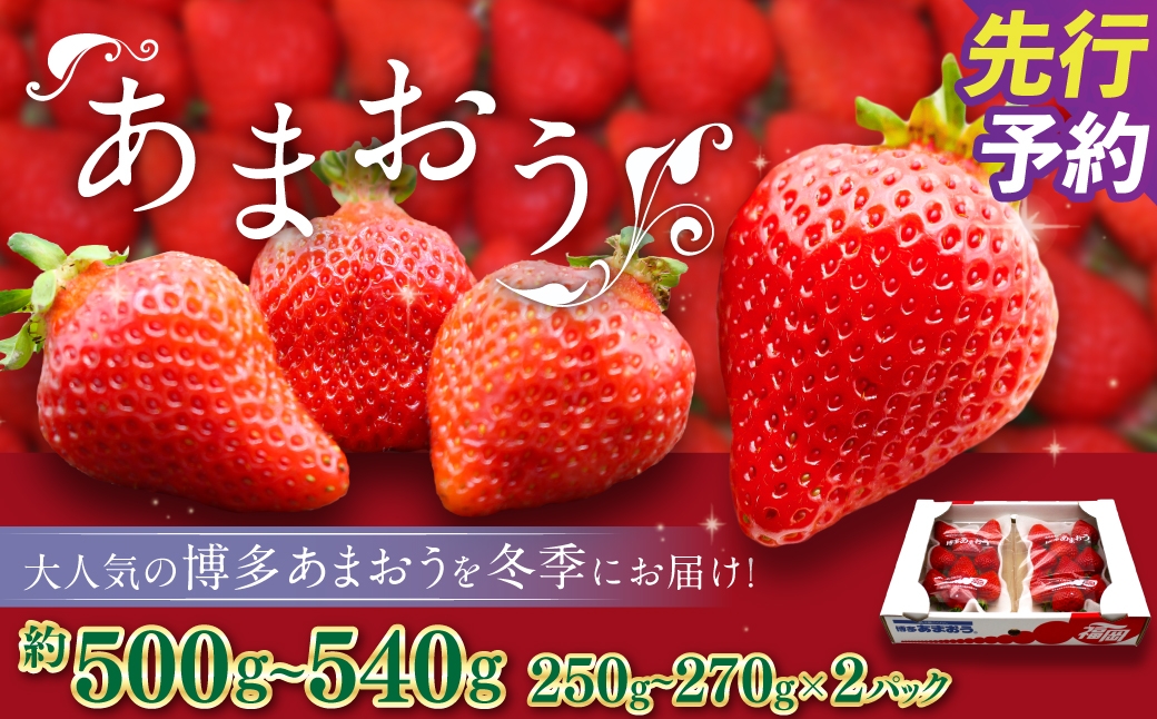 
                  博多あまおう（冬） 約250g～270g×2パック 計約500g～540g【2026年12月上旬-2027年1月下旬発送予定】 いちご 苺 イチゴ 果物 フルーツ
                