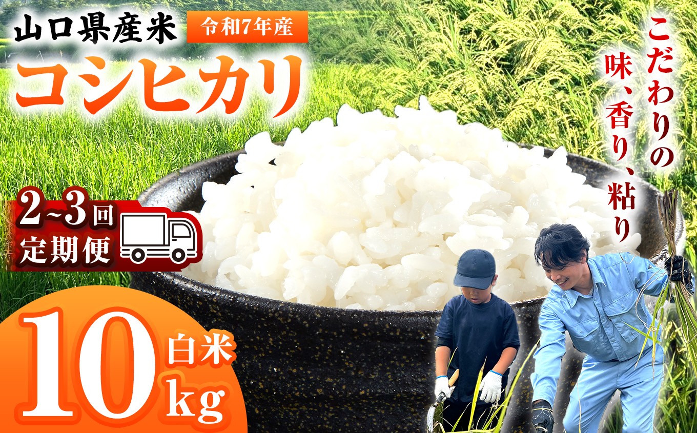 
                  【 定期便 】 令和7年産 山口県産米 コシヒカリ 10kg 選べる 配送回数 2回 3回 ｜ 令和7年産 こしひかり 山口県産米 こめ お米 コメ 白米 精米 ごはん ご飯 瀬戸内 山口県 平生町 10kg
                
