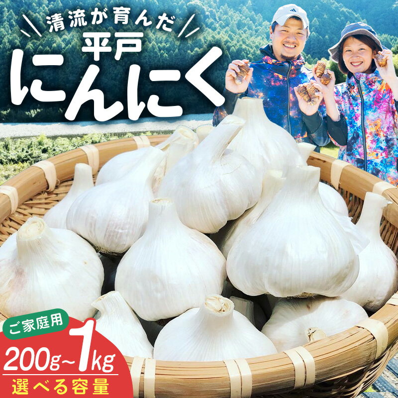 【ふるさと納税】 にんにく 乾燥にんにく 200g~1kg 【流通が少ない希少な平戸にんにく】 / ガーリック 薬味 野菜 食品 食材 料理 ご家庭用 200g 500g 1kg ストック おすそ分け 大容量 長期保存 常温保存 古座川町 和歌山県 送料無料