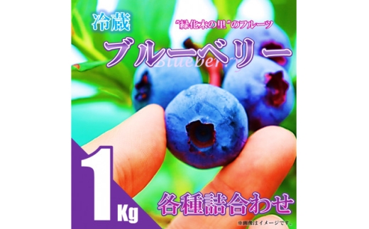 ＜先行予約/冷蔵＞ブルーベリー1kg(各種詰合せ)【1608646】