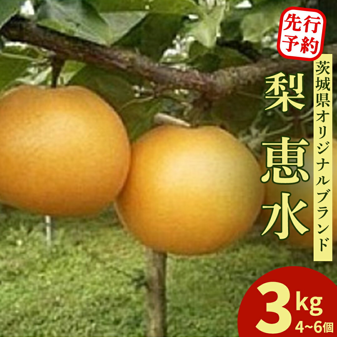【ふるさと納税】恵水 大玉サイズ 約3kg 4〜6個 梨 茨城県オリジナルブランド品種 先行予約 2026年発送 完熟 フルーツ 果物 産地直送 糖度 高い 梨 茨城 人気
