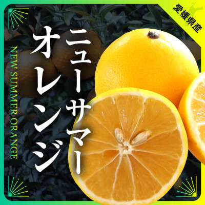 【発送月固定定期便】柑橘【みかん・まどんな・きよみ・ニューサマーオレンジ】【H31−47】全4回【4058614】