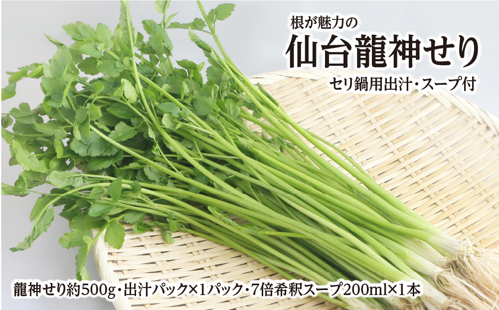 【期間限定】根が魅力の仙台龍神せり(500ｇ)4～5人前　（セリ鍋用出汁・スープ付）