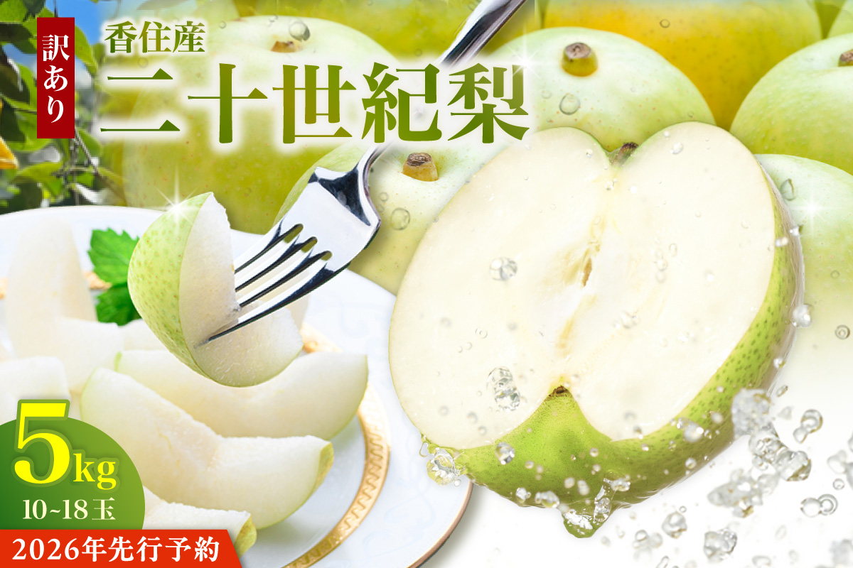 2026年産 先行予約 訳あり 二十世紀梨 5kg（10～18玉） 生産者応援商品 【令和8年9月上旬以降発送予定】 傷あり 不揃い ご自宅用 果物 梨 12-23