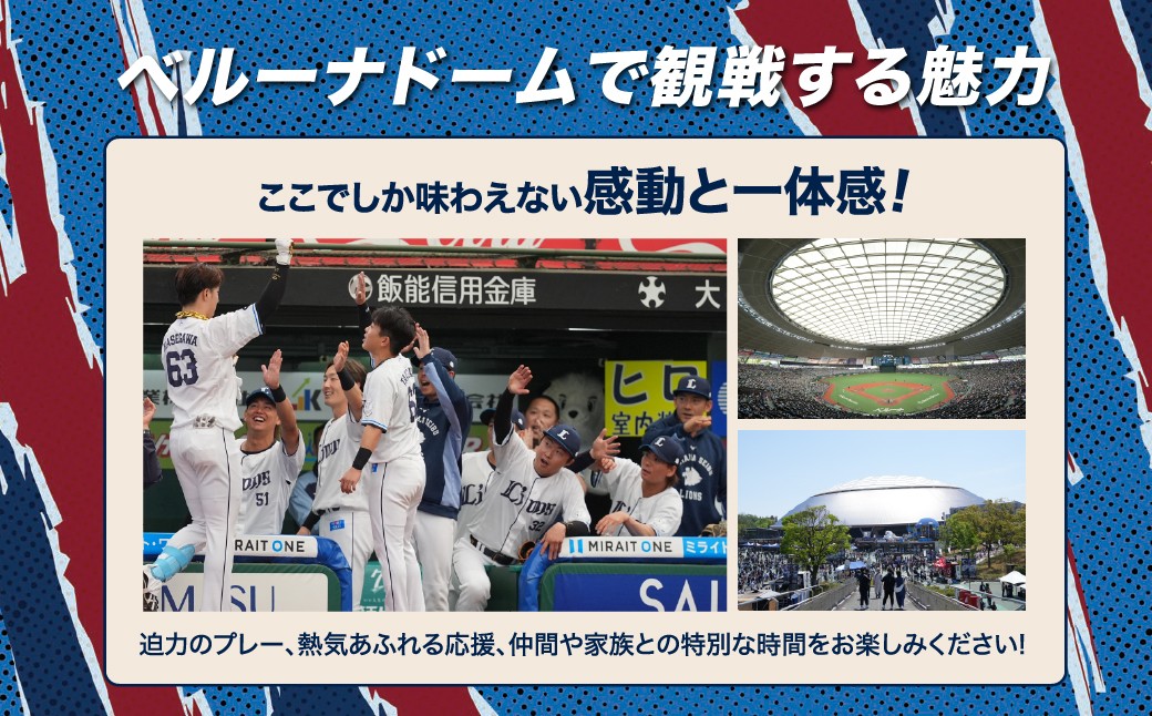 野球 プロ野球 スポーツ チケット 観戦 野球観戦 スポーツ観戦 埼玉西武ライオンズ ライオンズ ベルーナドーム 応援 所沢市
