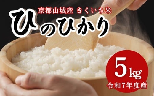 令和7年度産 ひのひかり 5kg 京都山城産 きくいち米 ヒノヒカリ 2025年度産 令和7年 新年度産 精米 白米 お米 米 こめ コメ ご飯 5キロ 京都 京都府 井手 井手町 【185】