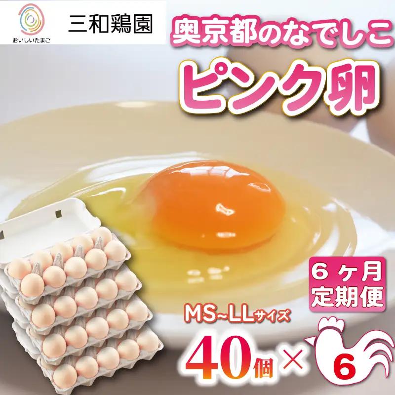 【卵 定期便6か月】奥京都の撫子たまご 卵40個
