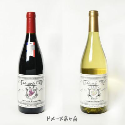 ふるさと納税 韮崎市 韮崎ワイナリーの飲みくらべ6本セット　NS-0006 |  | 02