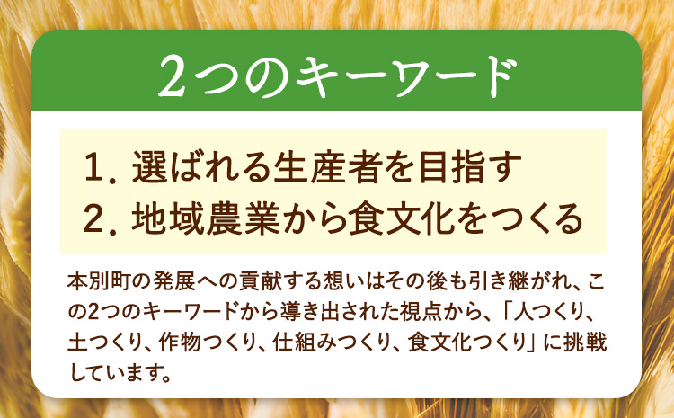 北海道十勝前田農産パン用小麦粉「春よ恋」1kg×10袋 計10袋 有限会社 十勝太陽ファーム 送料無料 北海道 本別町《60日以内に出荷予定(土日祝除く)》北海道 本別町 パン 小麦粉 小麦 10kg