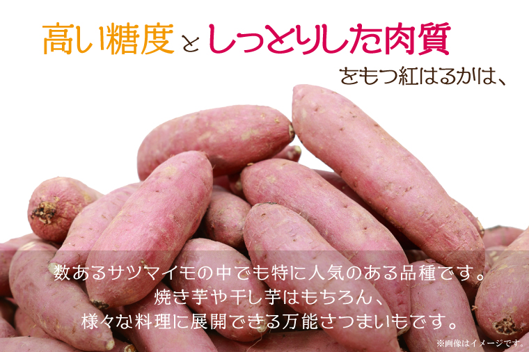 EK-12　【2025年1月より順次発送】農産物直売所「やさいの声」　先行予約　さつまいも　紅はるか　熟成　洗い　約5kg