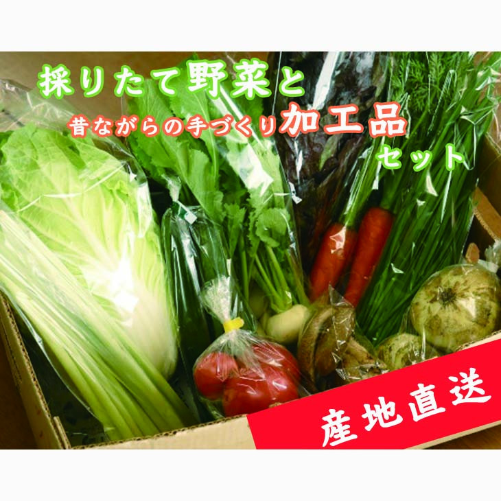 
【産地直送】採りたて野菜と昔ながらの手づくり加工品セット≪旬の野菜 詰め合わせ 野菜セット 栃木県産 国産≫
