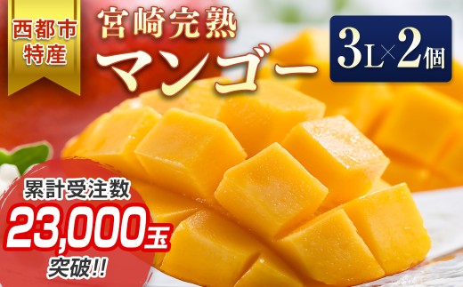 宮崎県産完熟マンゴー3L×2個 西都市特産品宮崎マンゴー＜1.5-132＞宮崎マンゴー 果物 フルーツ 甘い【先行予約】2026年発送