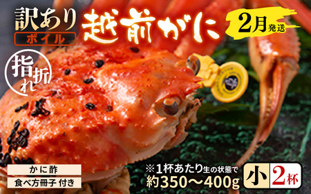 【先行予約】【訳あり】名人が茹でる指折れ訳あり越前がに（小）2杯 (1杯あたり生の状態で約350～400g) やまに仕込み 【2月発送分】 【越前ガニ ズワイガニ ずわいがに 蟹 三国 浜茹で 冬の味覚】 [D-4306_02]