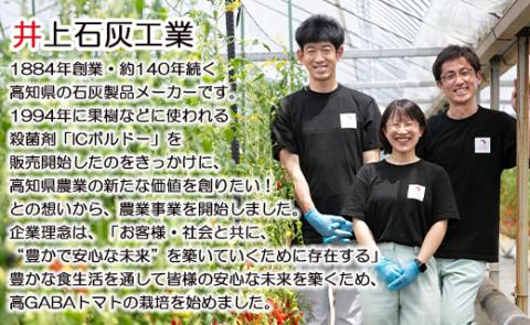 機能性表示食品 ミニトマト ゆうがたベーネ 約3kg（1kg×3箱）- 送料無料 野菜 プチトマト フルーツトマト ギフト 高糖度 贈答用 贈り物 高知県 香南市 常温 冷蔵 is-0008