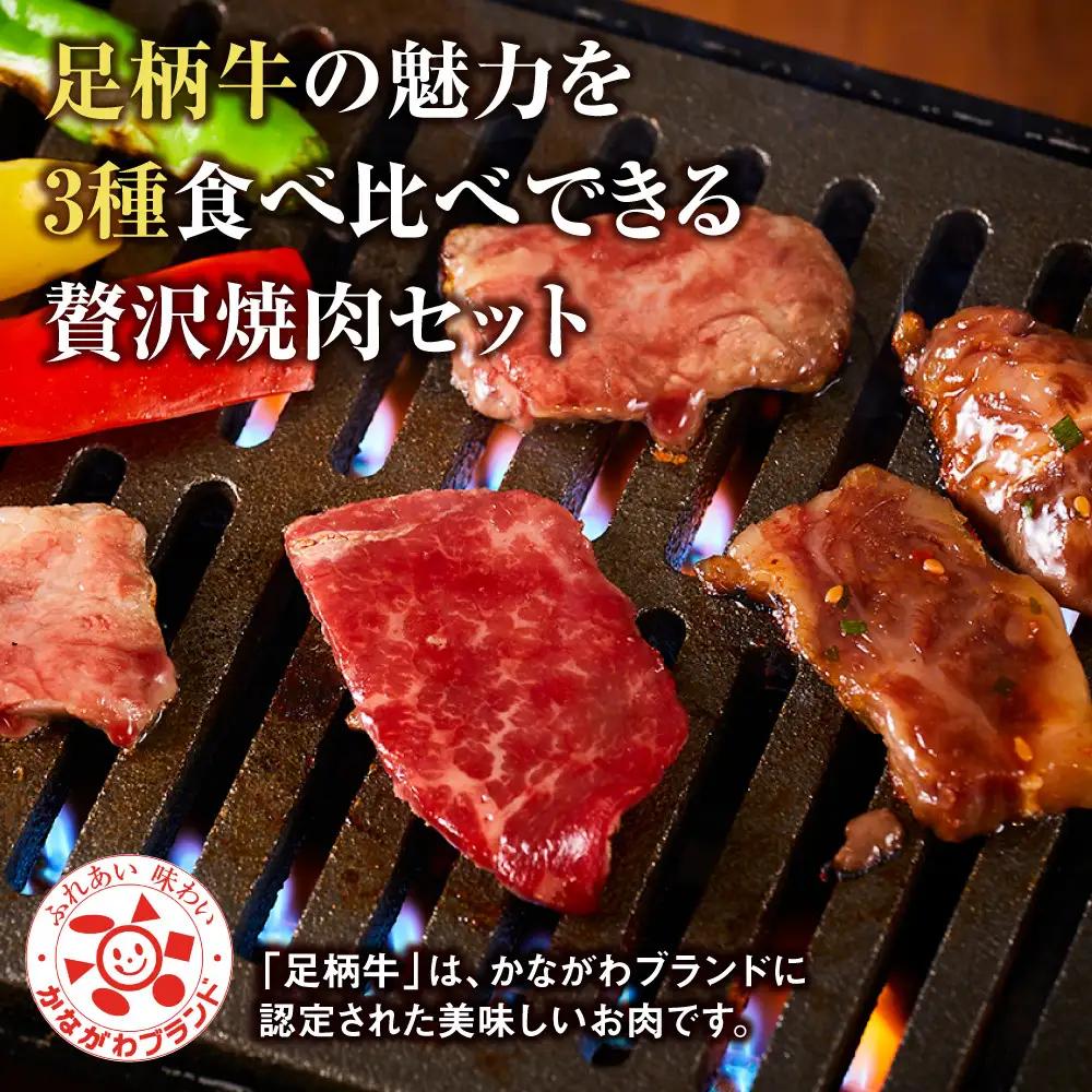 足柄牛 3種 焼肉セット（カルビ　上モモ　中落カルビ各250ｇ）｜ 焼肉セット 詰め合わせ