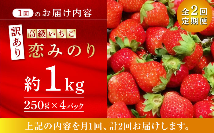 【訳あり】【先行予約】【2回定期便】高級 いちご 恋みのり 約1000g【伊藤農園】 果物 フルーツ イチゴ いちご 苺 オーガニック [ZBB013]