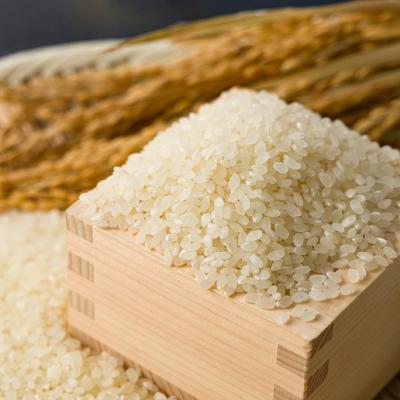 ふるさと納税 智頭町 【食味鑑定士厳選】鳥取県産 きぬむすめ10kg(5kg×2袋) 精米 |  | 02