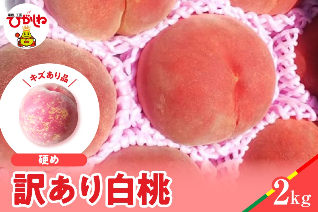 【2026年産】白桃 品種おまかせ 訳あり2kg(硬め) 松栗提供 山形県 東根市 hi062-058