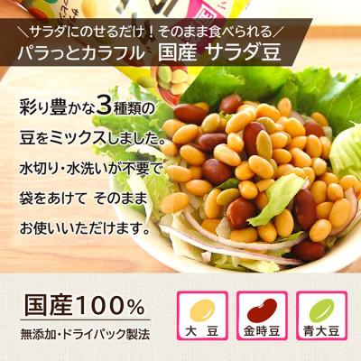 ふるさと納税 射水市 「パラっとカラフル 国産 サラダ豆 120g」×10袋 |  | 01