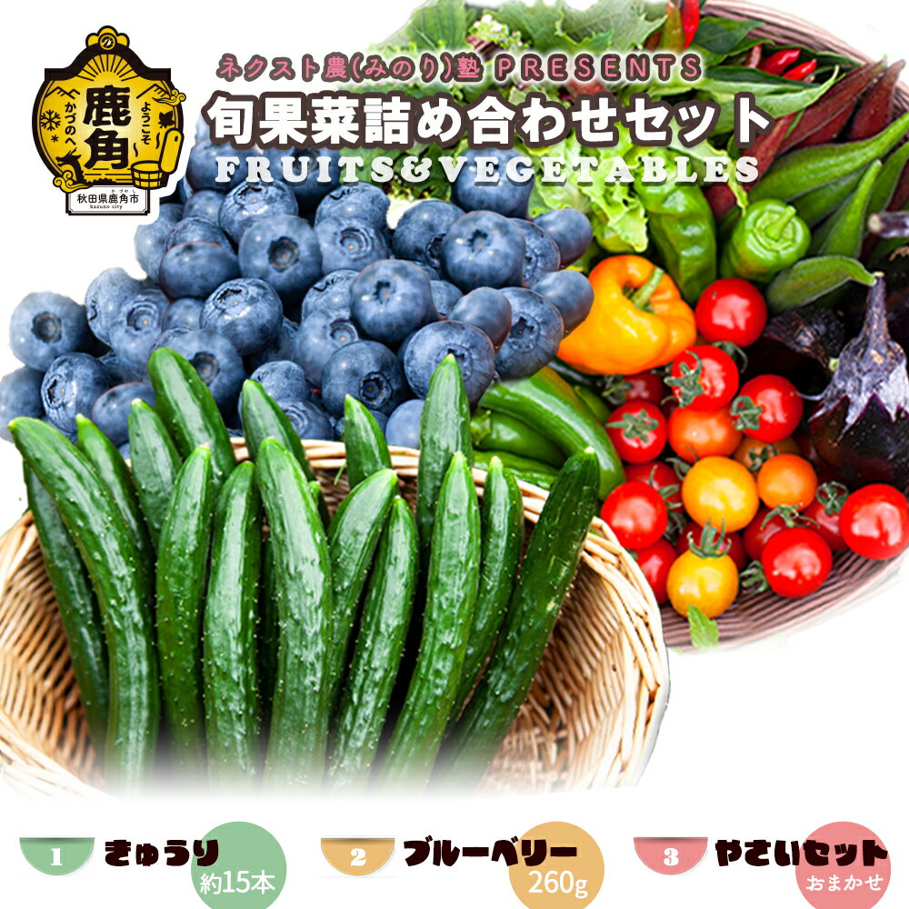 【ふるさと納税】《 先行予約 》 ネクスト農 ( みのり ) 熟 PRESENTS 旬果菜詰め合わせセット きゅうり 生ブルーベリー 旬の野菜 お中元 お歳暮 グルメ ギフト 故郷 秋田 あきた 鹿角市 鹿角 送料無料 【優作ファーム】