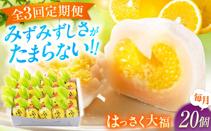 【3回定期便】お菓子 はっさく大福20個入　 お菓子 大福 八朔 柑橘 みかん オレンジ 餅 ギフト お取り寄せ スイーツ フルーツ大福 ご当地 菓子 おかし デザート 食品 人気 おすすめ 広島県福