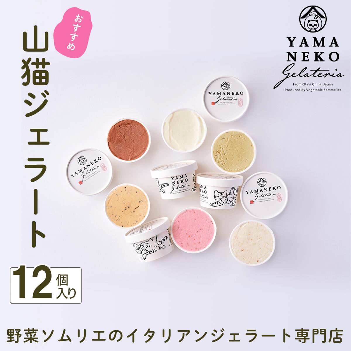 【ふるさと納税】野菜ソムリエのイタリアンジェラート専門店＜山猫ジェラート＞おすすめ12個セット ふるさと納税 ジェラート アイス アイスクリーム 千葉 大多喜町 送料無料 W02401