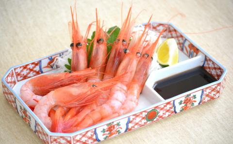 【先行予約】【白いか 甘えび お刺身用セット 白いか（剣先いか）5～8杯（約1kg）甘えび約800g(30～40尾)　冷凍 兵庫県香住産】6月以降順次発送予定 日本海で水揚げされた鮮度抜群の白いかと甘