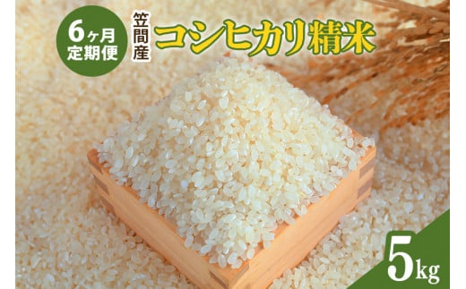 【6カ月定期便】 令和6年度 笠間産 コシヒカリ 5kg (5kg×6回 計30kg) 精米 お米 米 白米 ご飯 茨城県