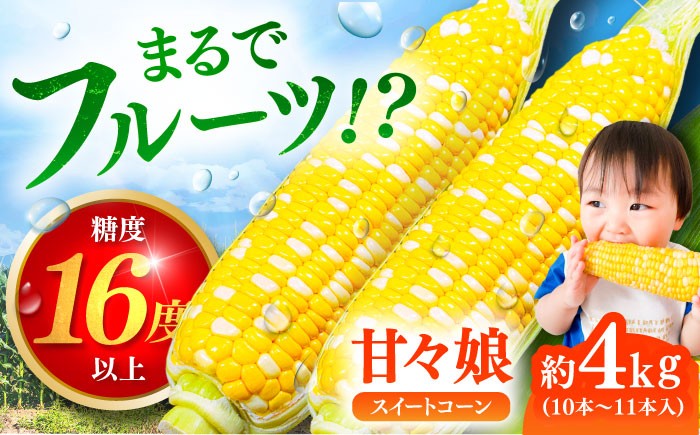 
                  【先行予約】【2027年6月上旬より順次発送】スイートコーン (甘々娘) 約4kg (10〜11本) / トウモロコシ 甘い スイートコーン とうもろこし 高糖度 かんかんむすめ【なかむら農園】 [BHCJ001]
                