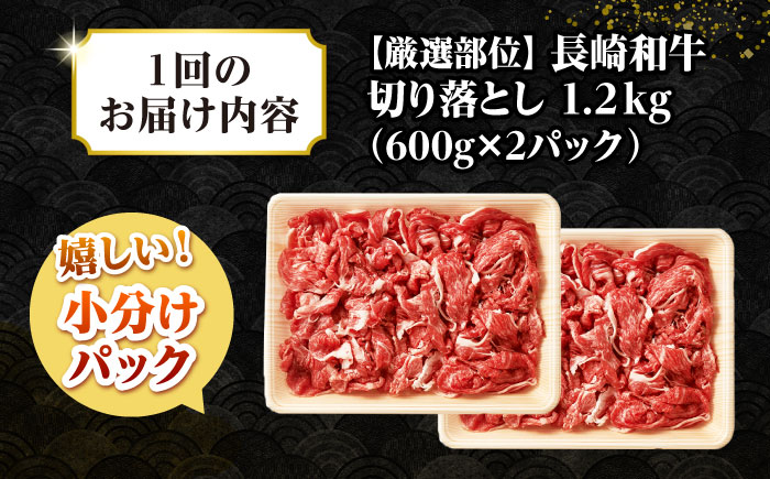 【全6回定期便】【訳あり】【A4~A5ランク】長崎和牛 切り落とし 1.2kg(600g×2パック）《壱岐市》【株式会社MEAT PLUS】 肉 牛肉 黒毛和牛 焼き肉 ご褒美 冷凍配送 訳あり A5