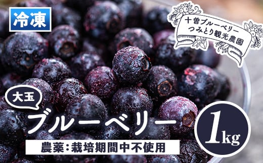 isa157 冷凍ブルーベリー(1kg)  ふるさと納税 伊佐市 特産品 フルーツ 果物 冷凍 冷凍便【伊佐ブルーベリーつみとり観光農園】