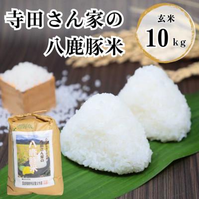 ふるさと納税 養父市 【令和7年産】 寺田さん家の八鹿豚米 コシヒカリ 玄米 10kg