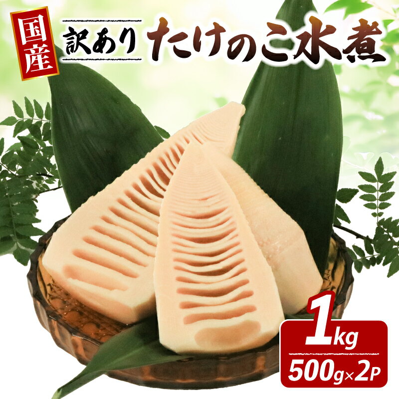 【ふるさと納税】 先行予約 4月~発送 訳あり たけのこ 水煮 1kg (500g×2パック) 冷蔵 小分け 国産 便利 大きさ 不揃い タケノコ 筍 たけのこ水煮 セット 野菜 愛知県 南知多町 人気 おすすめ キッチンピグレット たけのこ 春 たけのこご飯