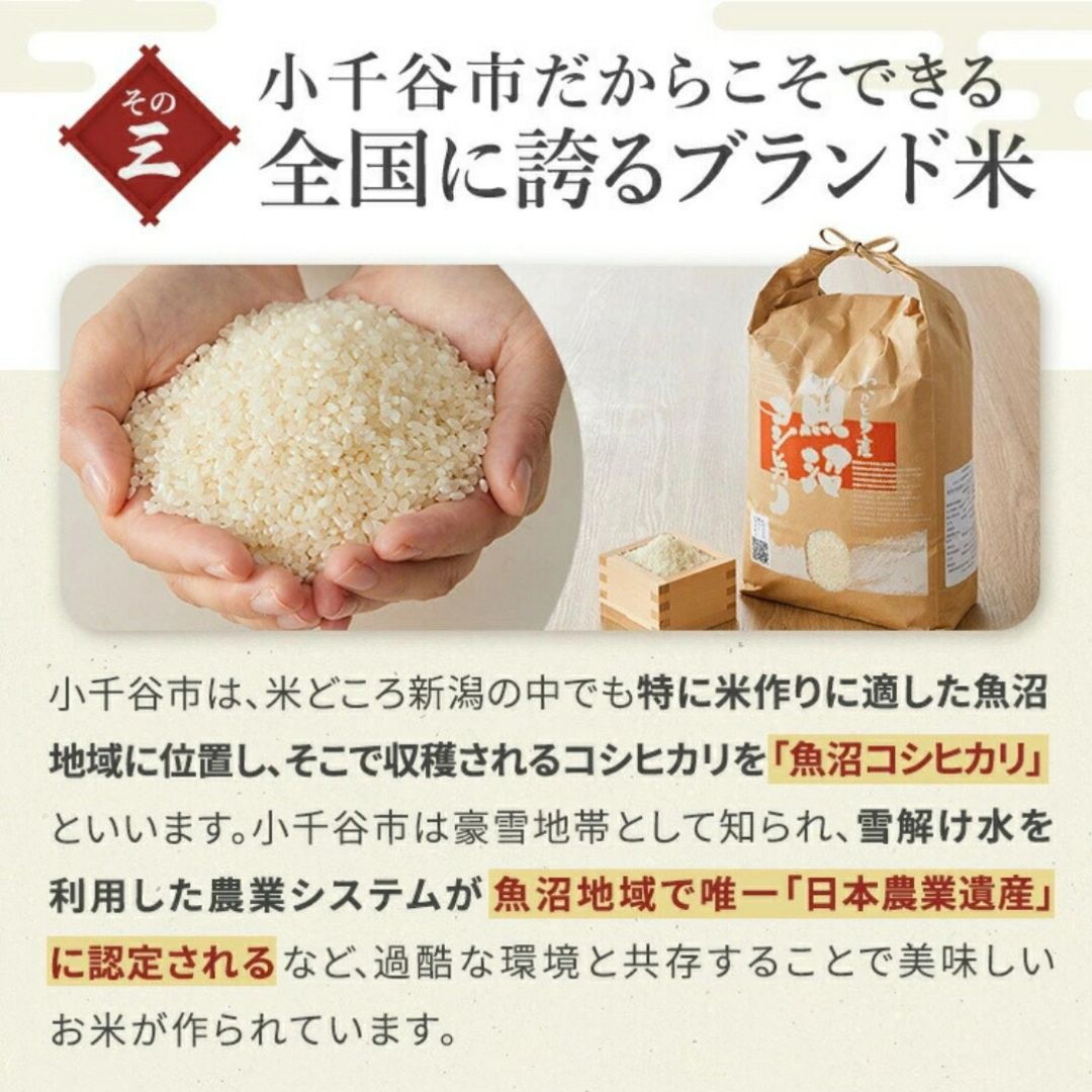 【6か月定期便 コシヒカリ】令和8年産 玄米 魚沼産コシヒカリ 特別栽培米 わかとち産 棚田米 合計30kg（5kg×毎月お届け全6回）Mt.ファームわかとち 新潟県 小千谷市
