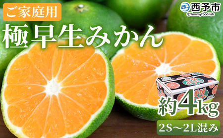 ＜極早生みかん ご家庭用 約4kg＞ ご家庭用 果物 フルーツ みかん ミカン 蜜柑 オレンジ 柑橘 食べて応援 特産品 宇都宮物産 愛媛県 西予市 【常温】『2025年9月下旬～10月中旬迄に順次出荷予定』UUB0040